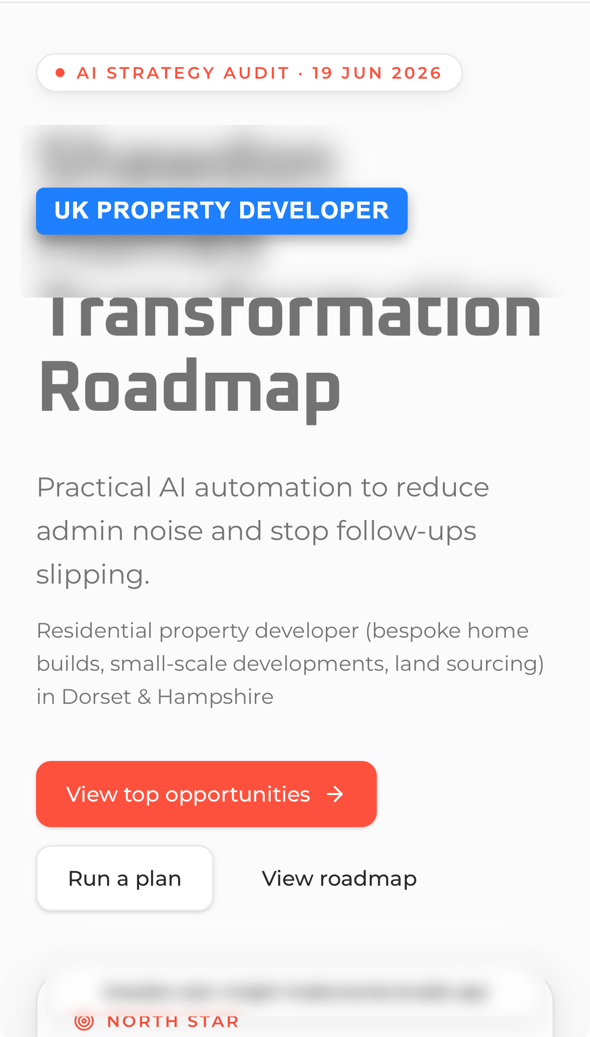 Transformation Roadmap: the client brief and top opportunities, anonymised